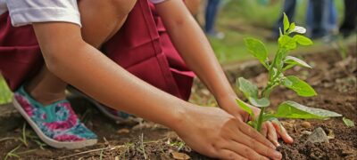 Este sábado 5 de junio se celebrará el Día Mundial del Medio Ambiente. ONU.